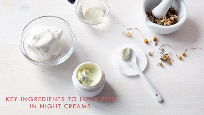 Right Night Cream for Your Skin Type 2 Key Ingredients to Look for in Night Creams