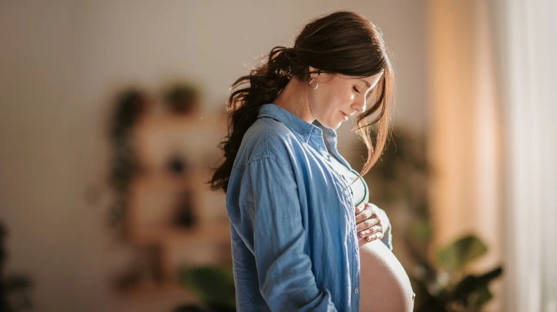 Pregnancy Pregnancy